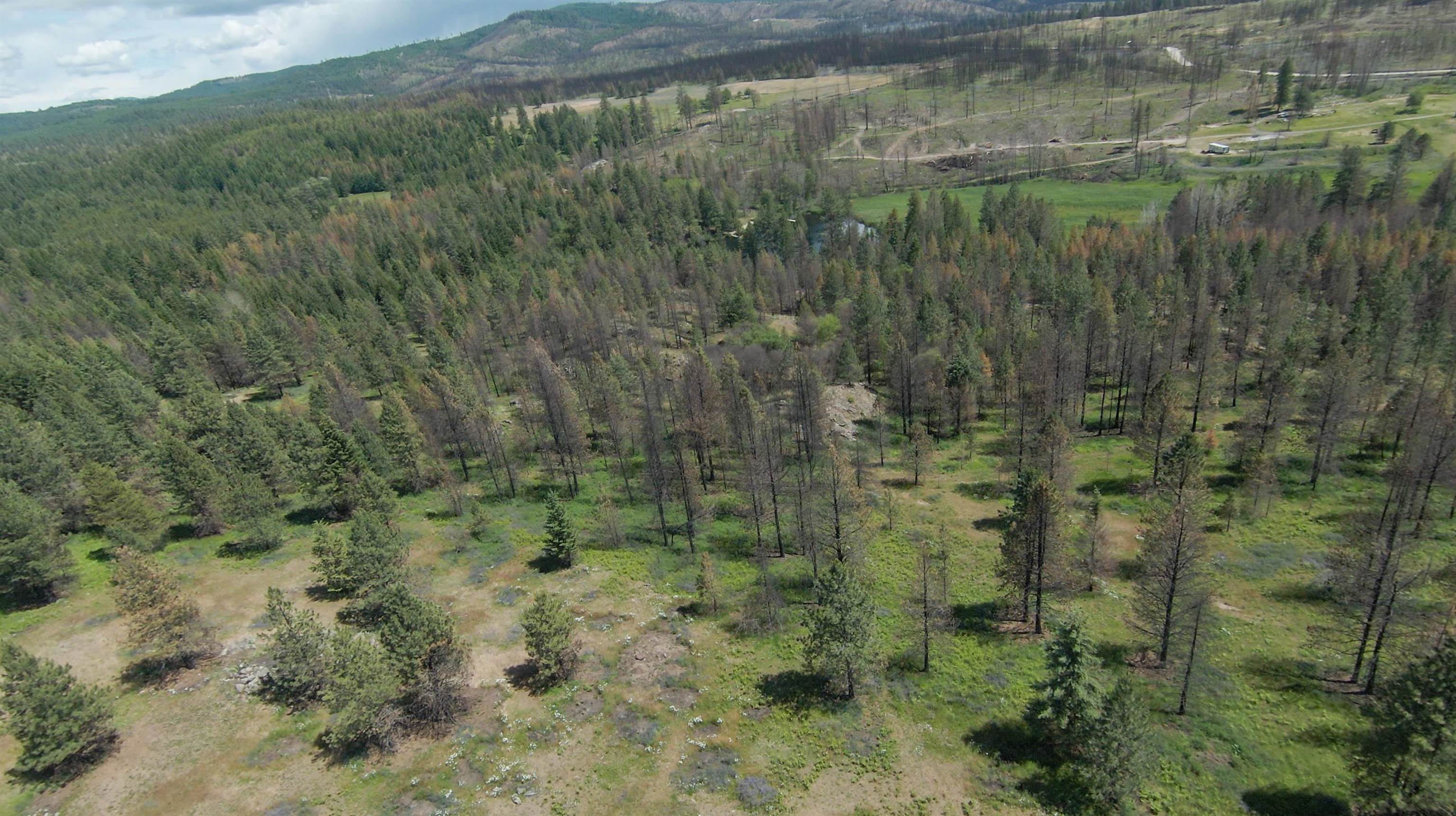 14117 East Frideger Road Elk, WA 99009 - Photo 21 of 21