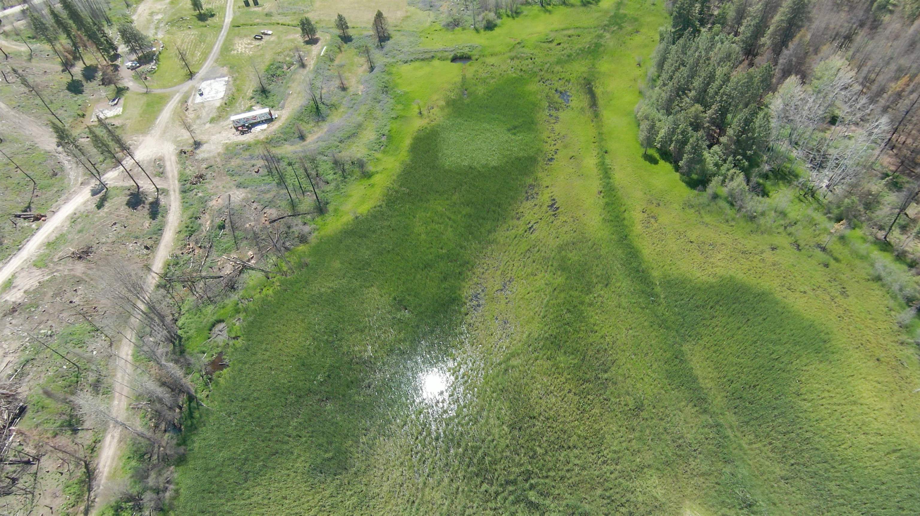 14117 East Frideger Road Elk, WA 99009 - Photo 7 of 21