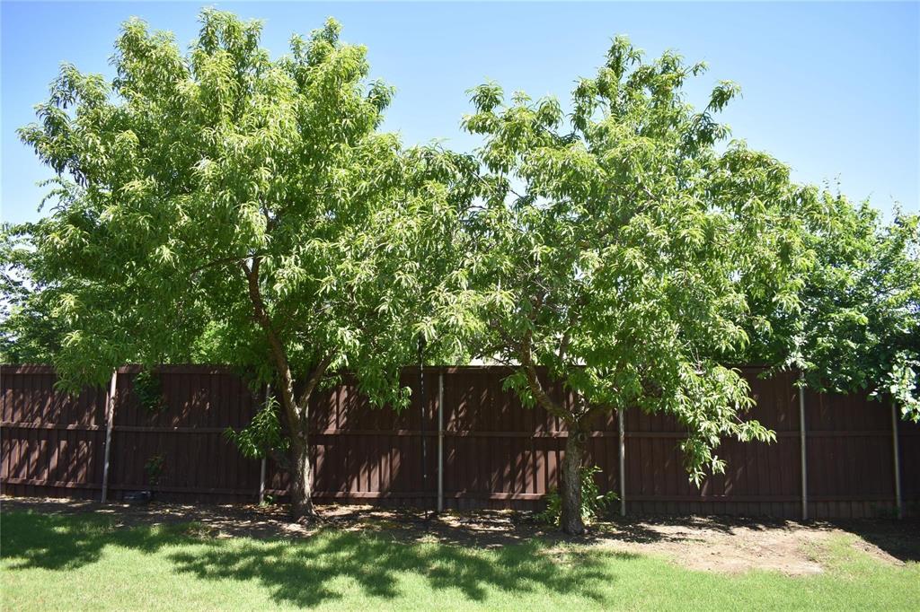 384 Spring Meadow Drive Fairview, TX 75069 - Photo 15 of 16 front view of a house with a yard