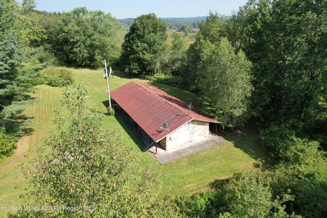a view of a yard with plants
