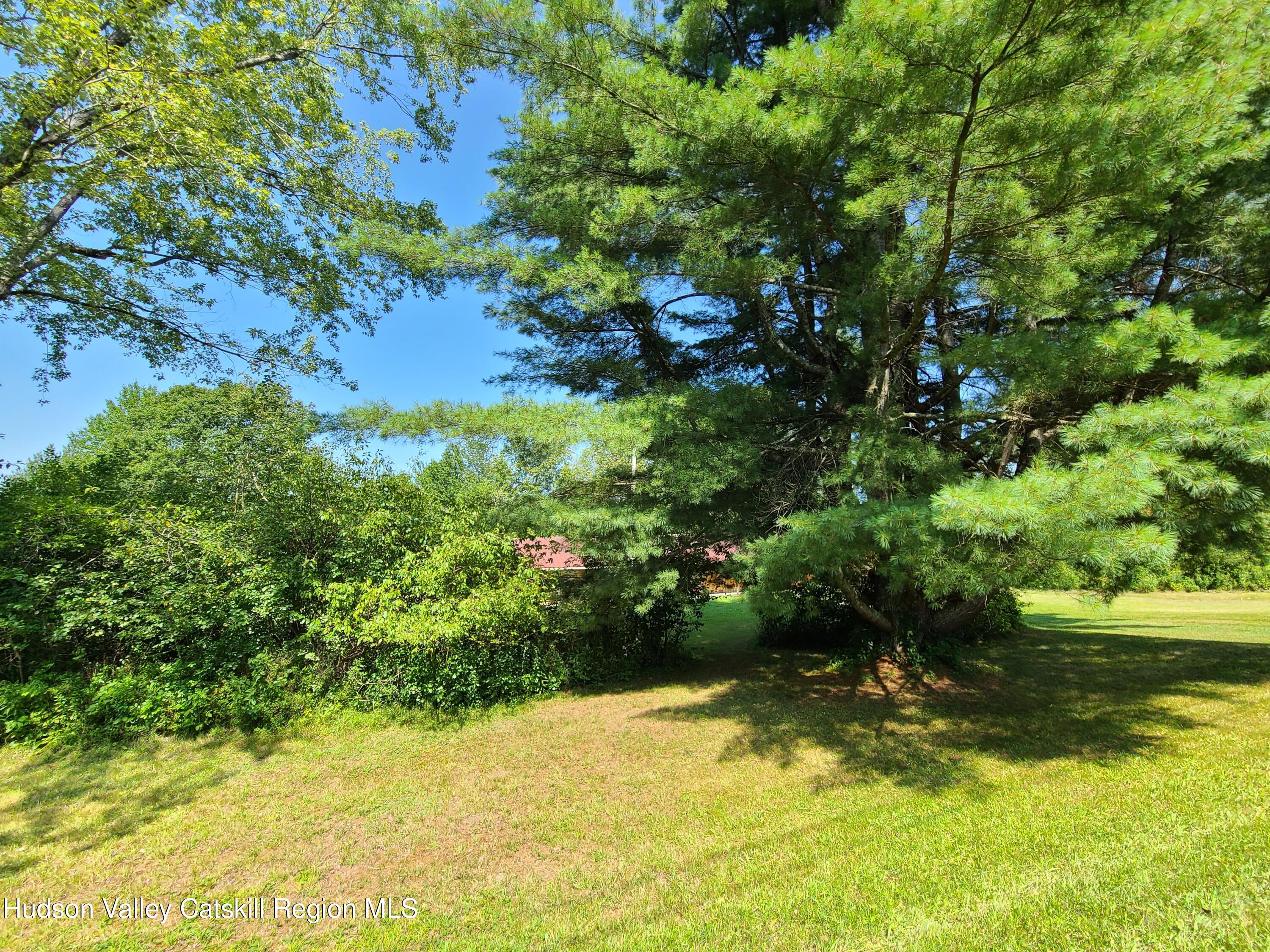 153 Shore Road Swan Lake, NY 12783 - Photo 36 of 45 a view of outdoor space and yard
