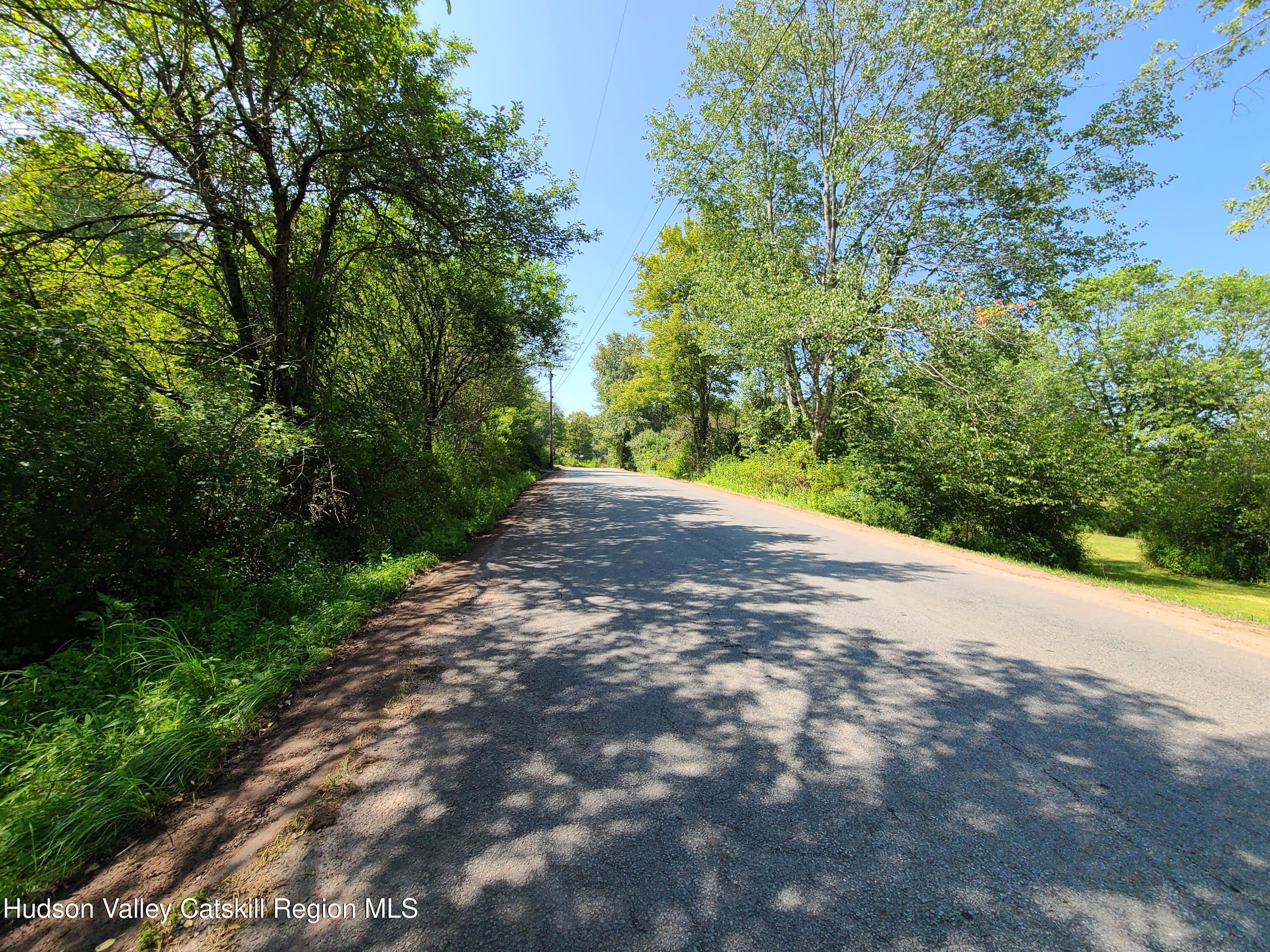 153 Shore Road Swan Lake, NY 12783 - Photo 38 of 45 a view of a road with trees in the background