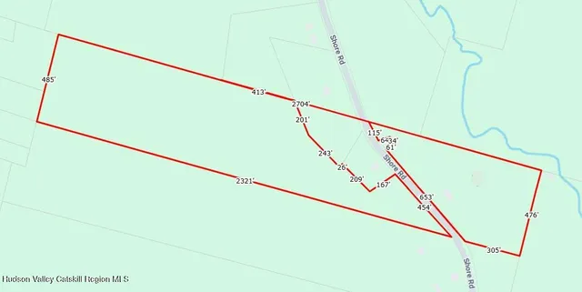 a close up of a plant in a garden