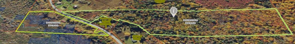 153 Shore Road Swan Lake, NY 12783 - Photo 43 of 45 a close up of a plant in a garden