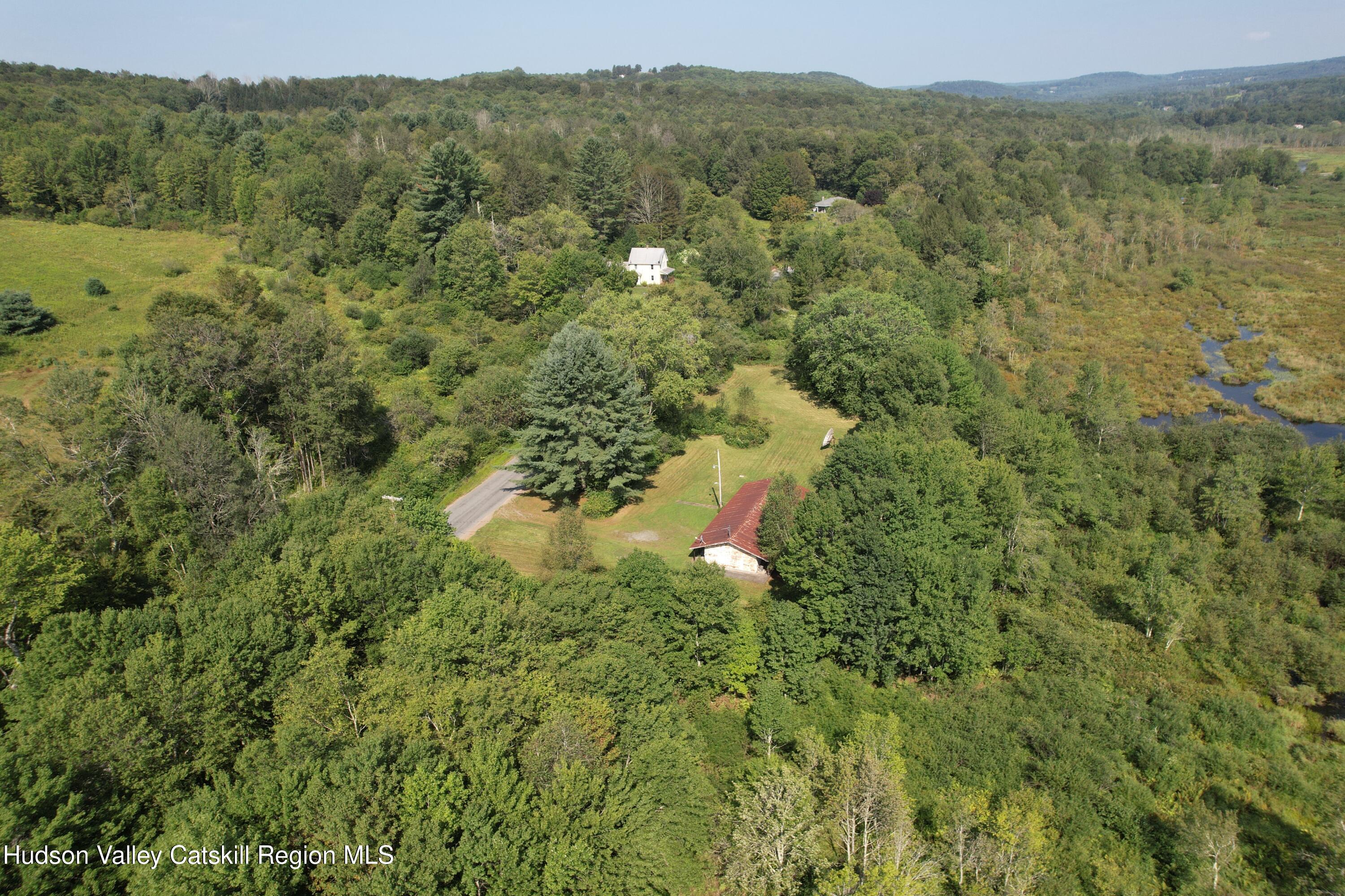153 Shore Road Swan Lake, NY 12783 - Photo 44 of 45 a view of a forest with a sink