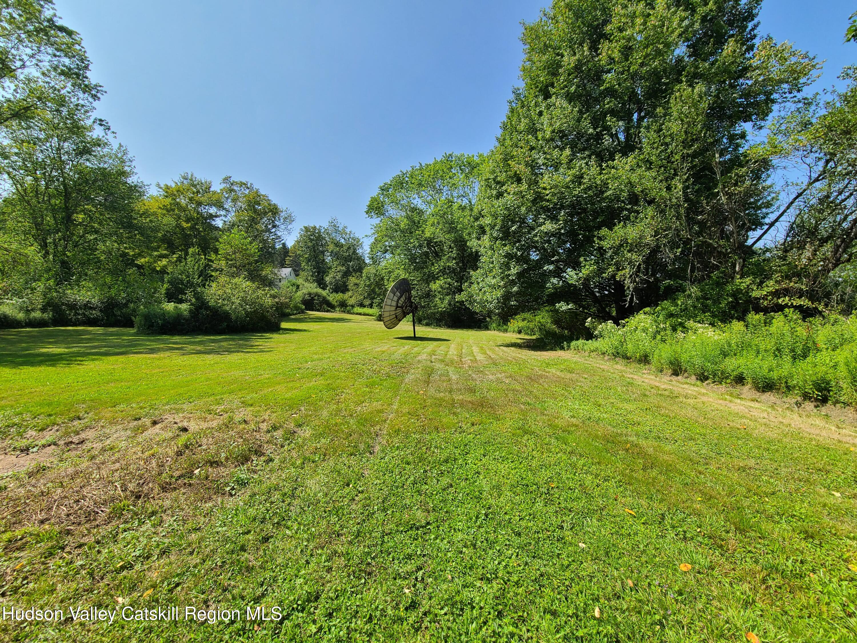 153 Shore Road Swan Lake, NY 12783 - Photo 10 of 45 a view of a field with a trees in the background