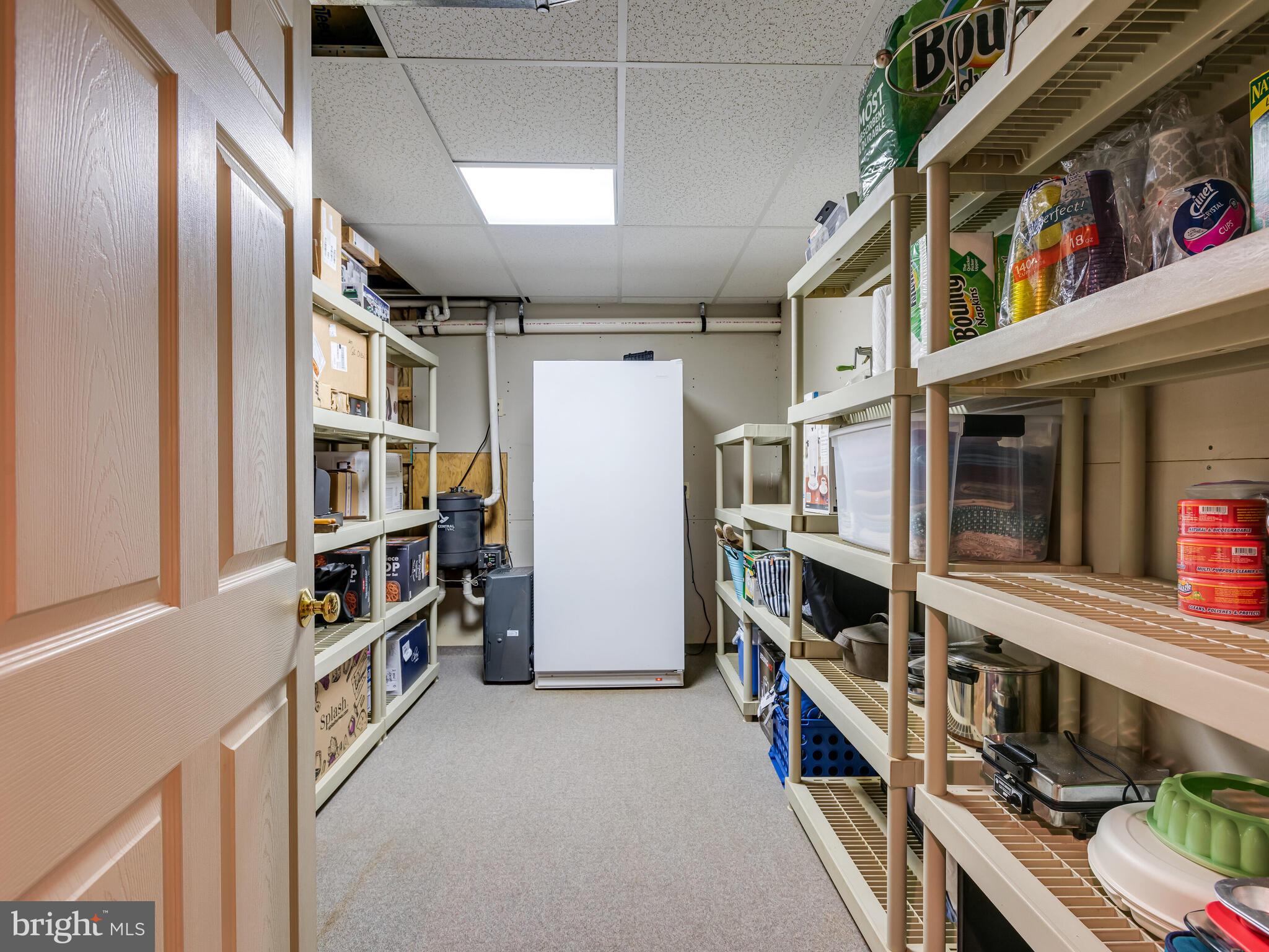 258 Bollinger Road Elverson, PA 19520 - Photo 74 of 96 basement storage