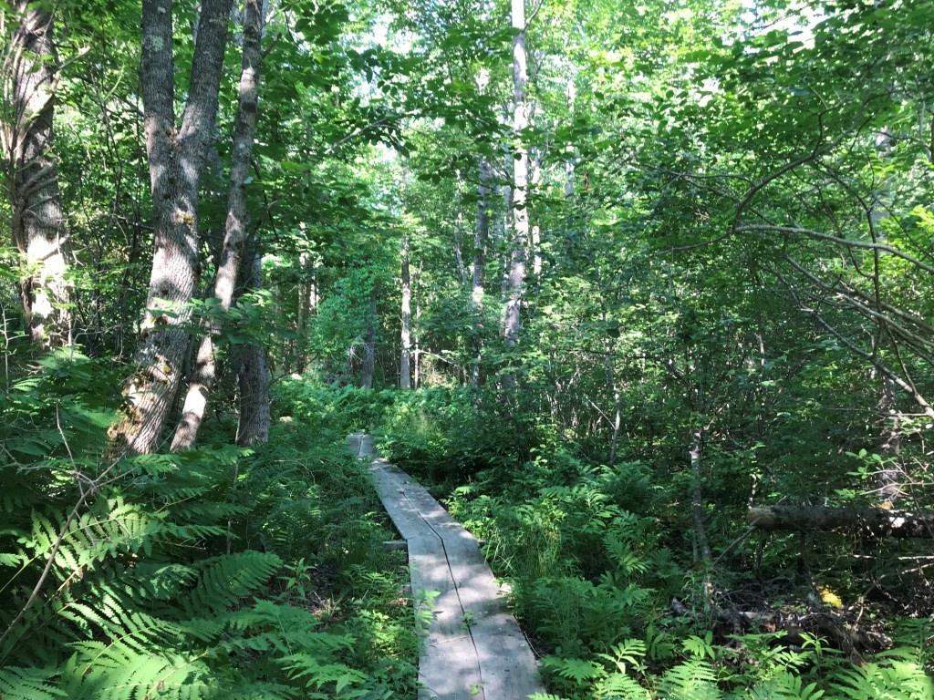 0 Turner Road Seal Cove, ME 04674 - Photo 22 of 41 Photo