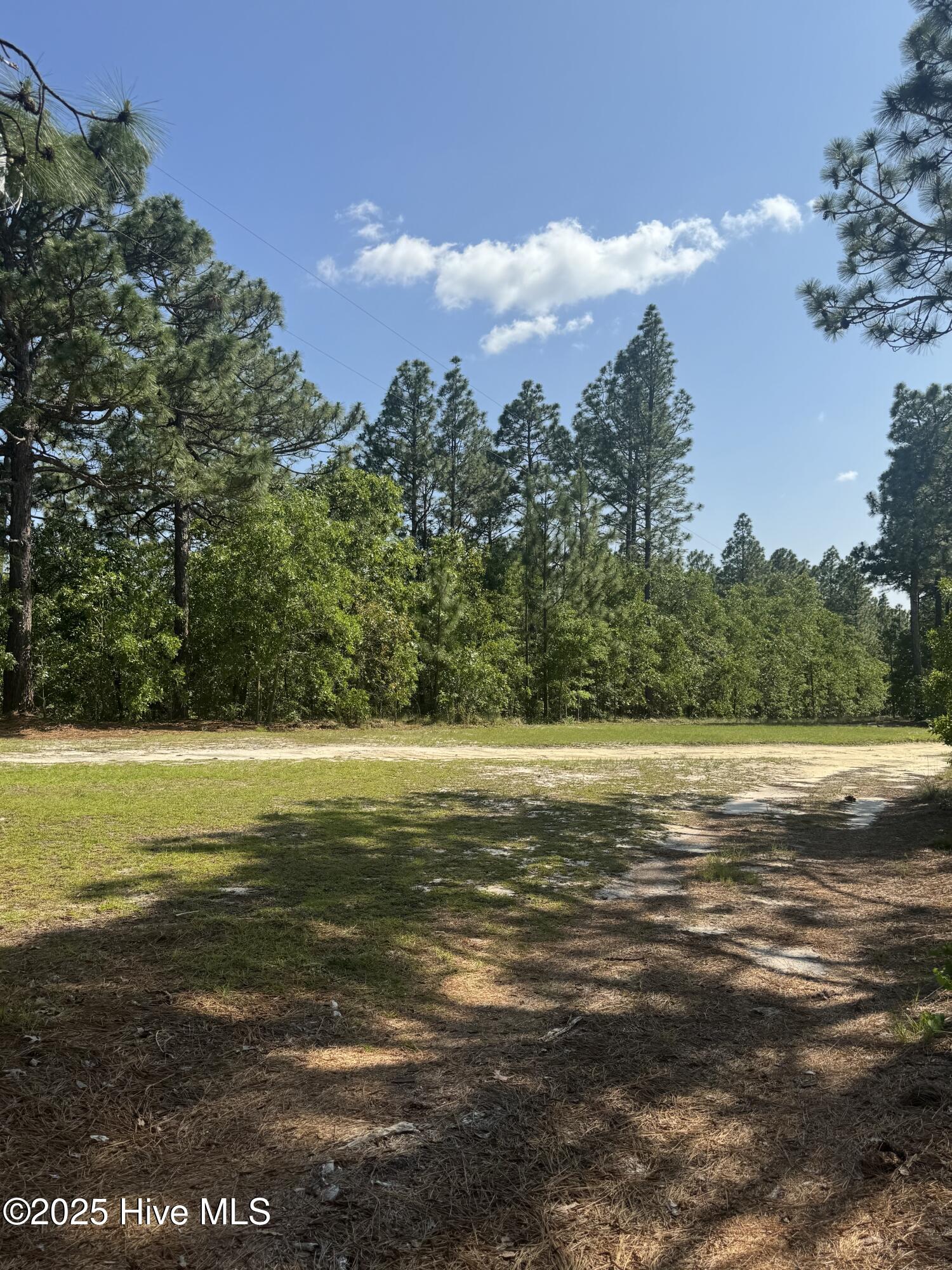402 Pistol Ridge Road Rockingham, NC 28379 - Photo 21 of 26 IMG_7649
