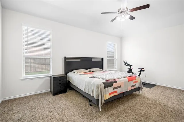 a bedroom with a bed rug and window