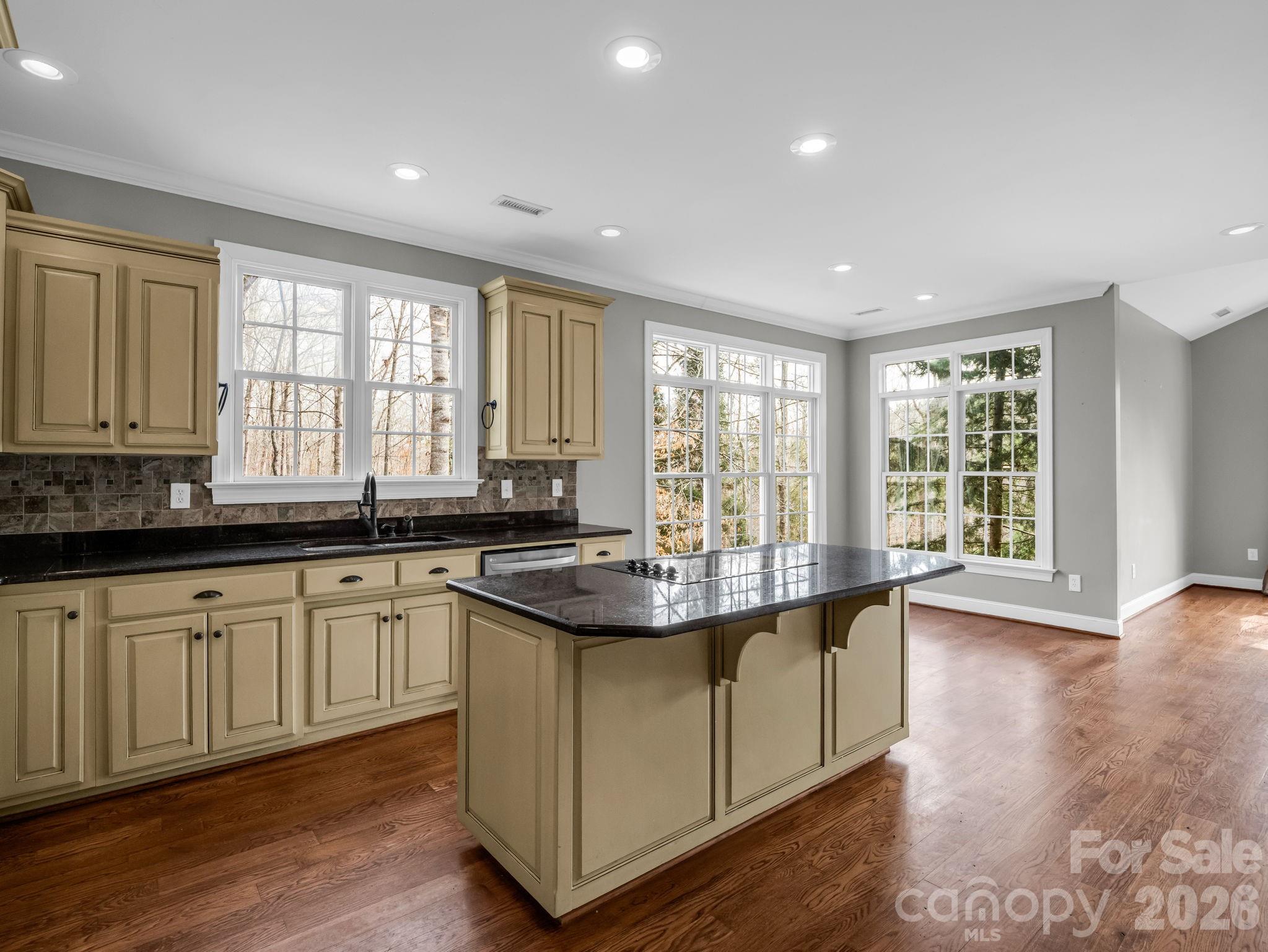 150 William Gilbert Loop Rutherfordton, NC 28139 - Photo 9 of 30