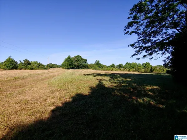 $275,000 | 0 Highway 82, Unit 1, Maplesville, AL 36750