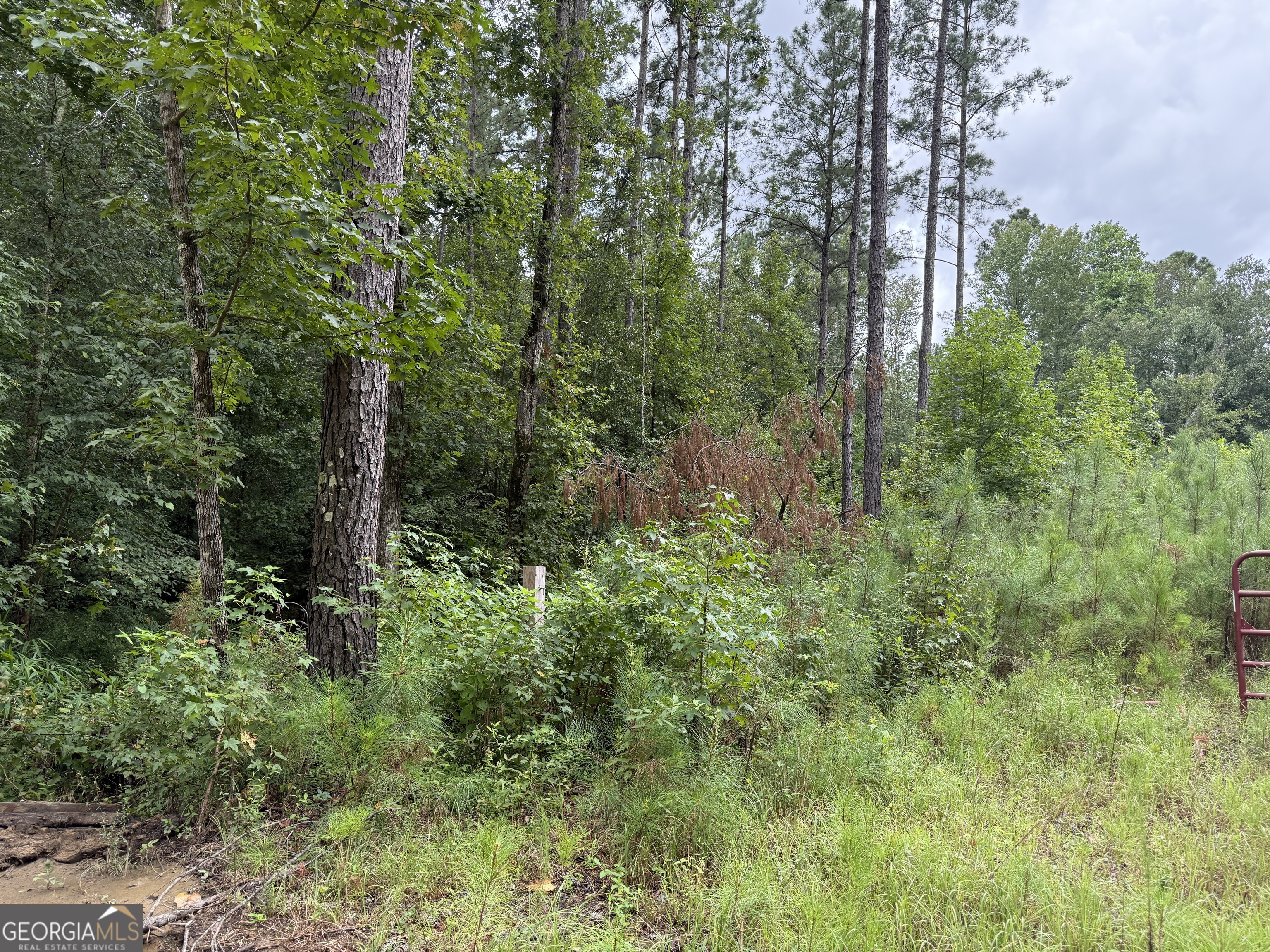 39.87-acres Irby Road Gibson, GA 30810 - Photo 44 of 56 Gallery Image 44