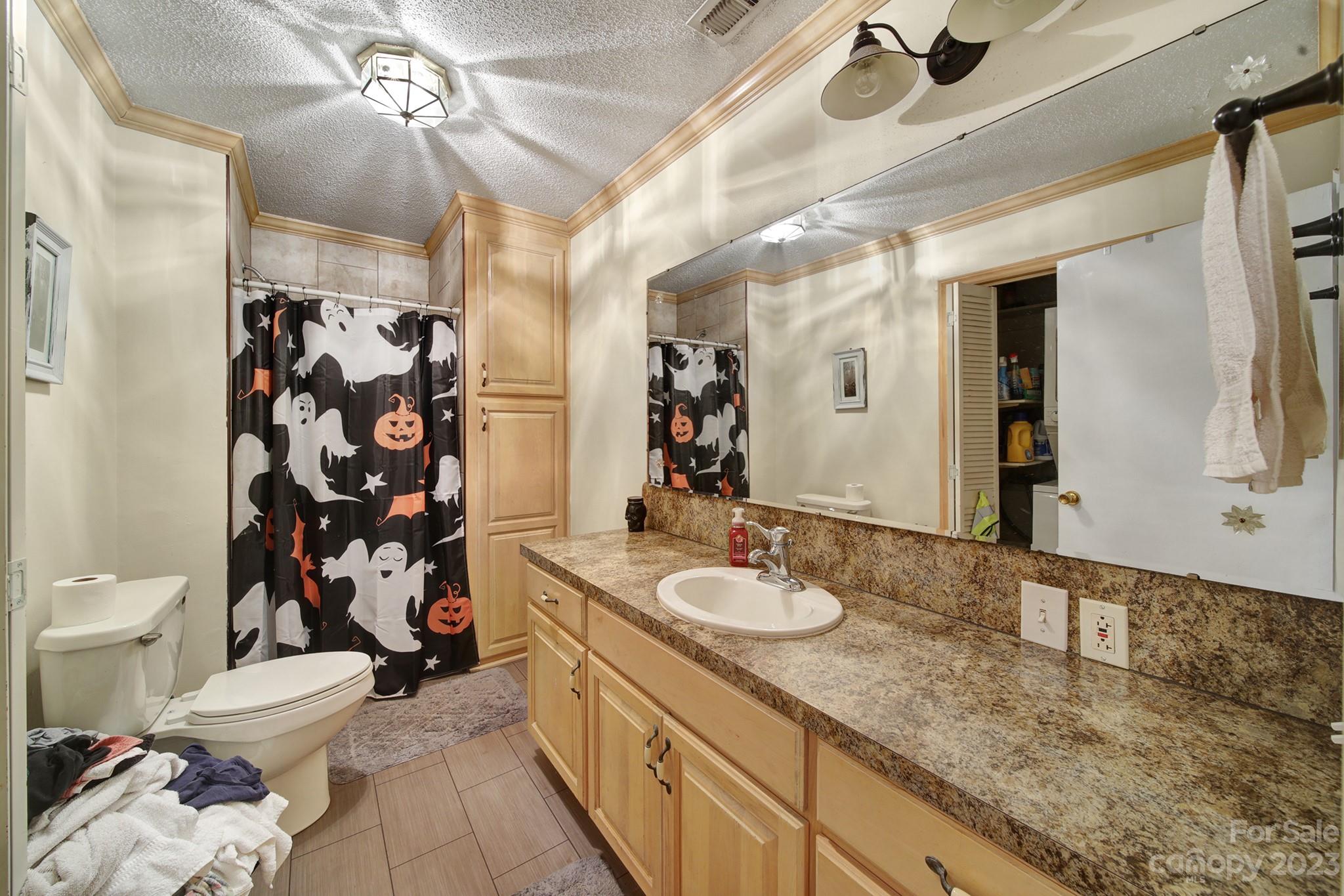 149 Sleepy Hollow Road Fort Mill, SC 29715 - Photo 16 of 28 Gallery Image 16