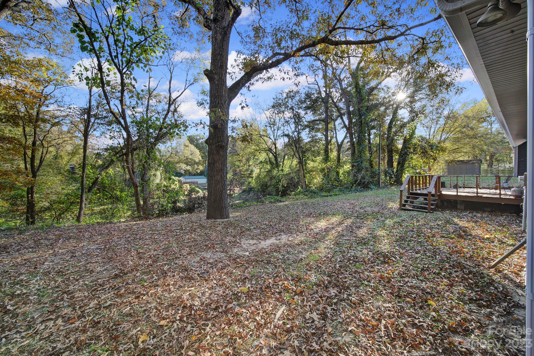 149 Sleepy Hollow Road Fort Mill, SC 29715 - Photo 26 of 28 Gallery Image 26