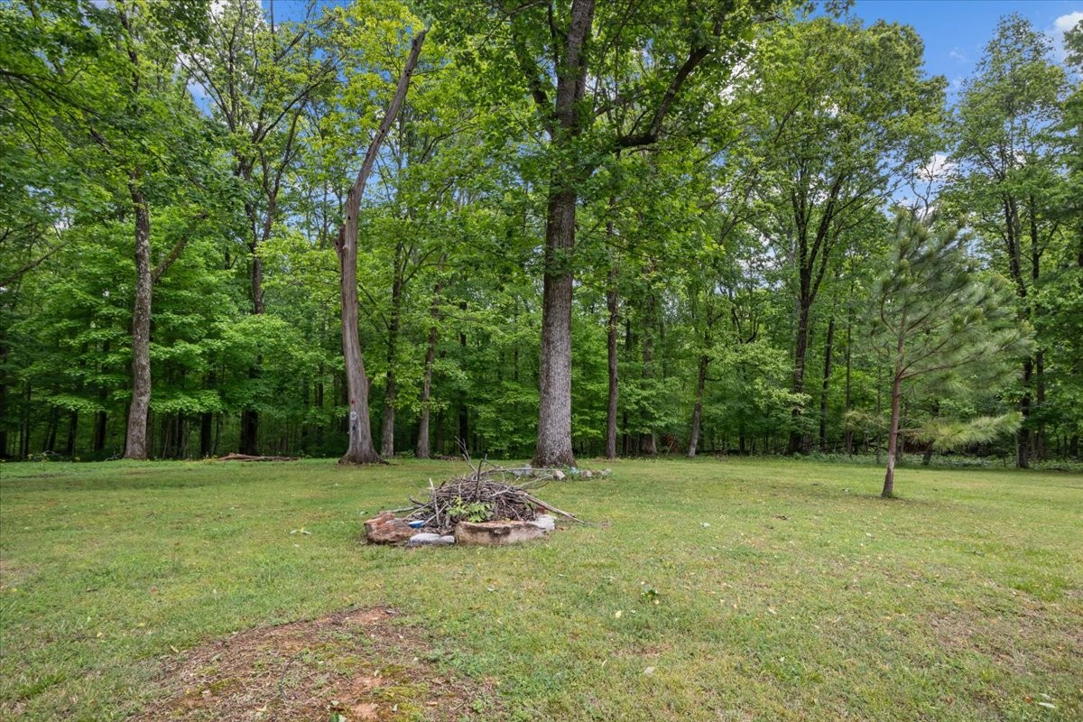 7158 Bahne Road Fairview, TN 37062 - Photo 30 of 37 a view of a tree in a park