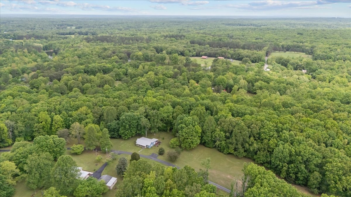 7158 Bahne Road Fairview, TN 37062 - Photo 31 of 37 a view of a forest with a street