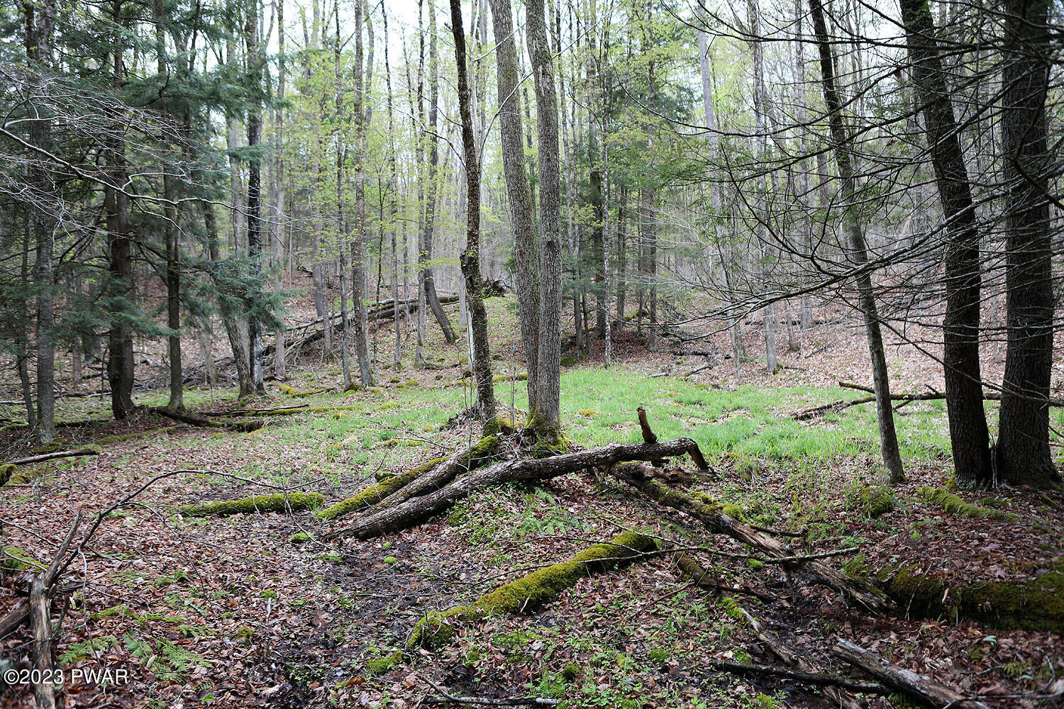 Lot E Spry Road Honesdale, PA 18431 - Photo 7 of 23