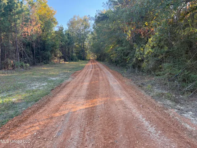 $196,000 | 1016 L A Brister Road, Summit, MS 39666