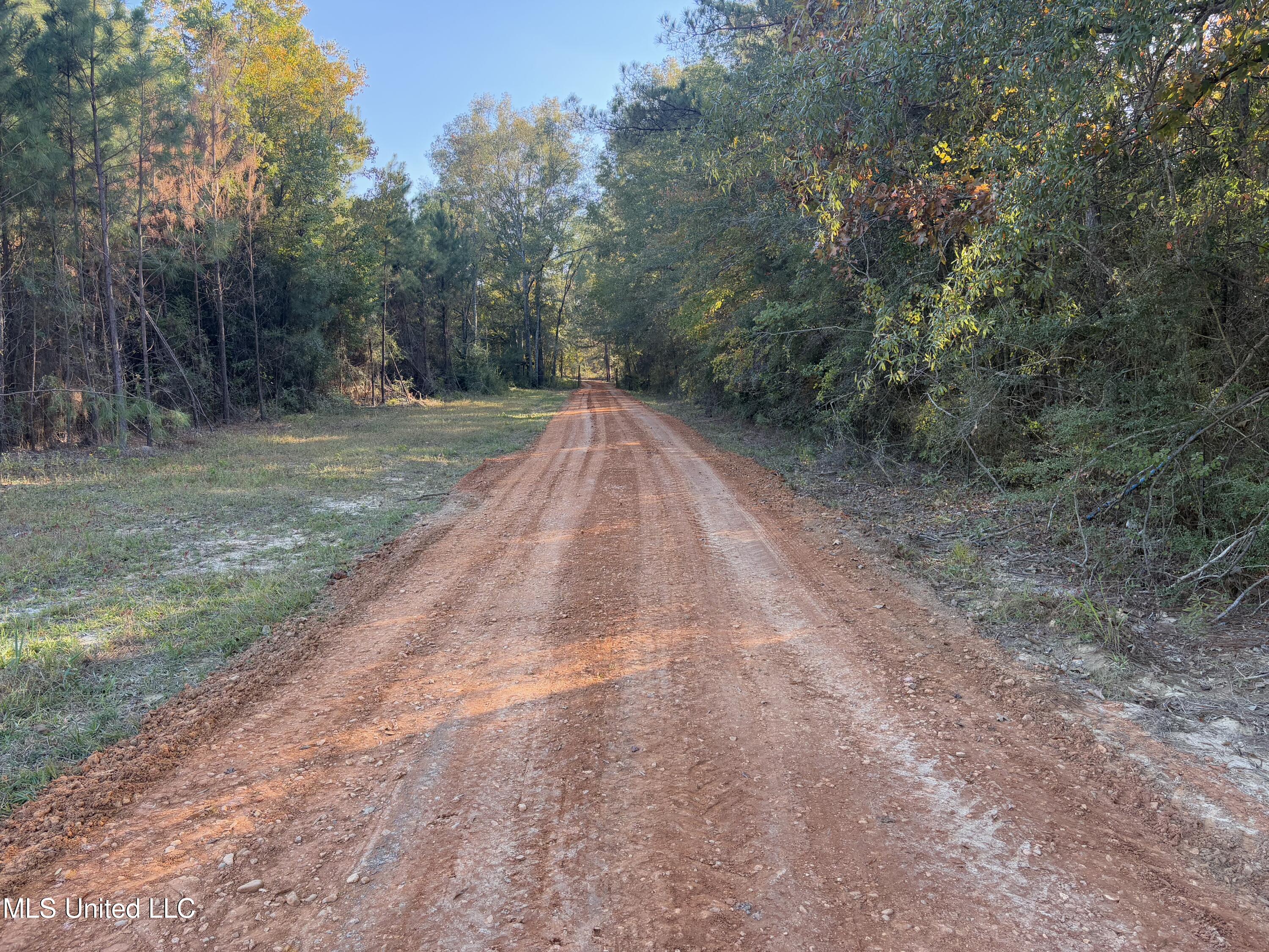 1016 L A Brister Road Summit, MS 39666 - Photo 18 of 21 IMG_1046