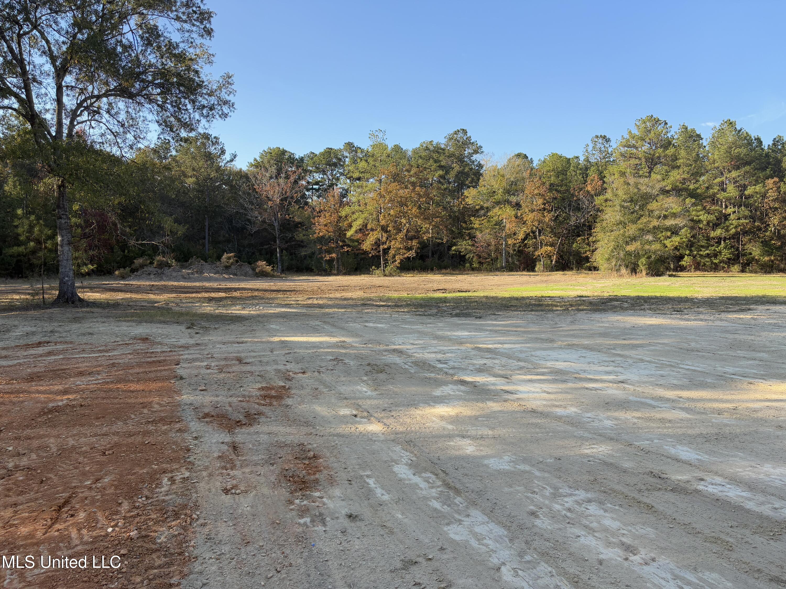 1016 L A Brister Road Summit, MS 39666 - Photo 19 of 21 IMG_1058