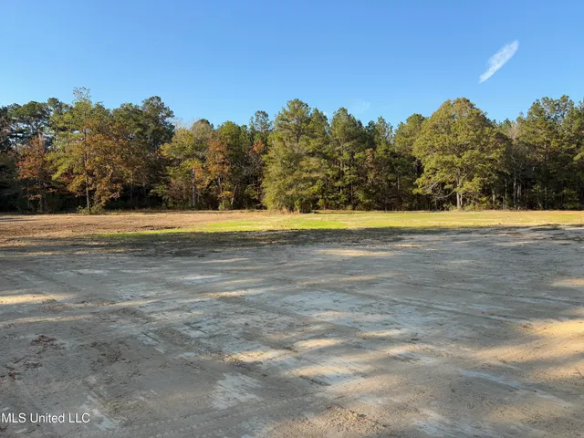 $196,000 | 1016 L A Brister Road, Summit, MS 39666