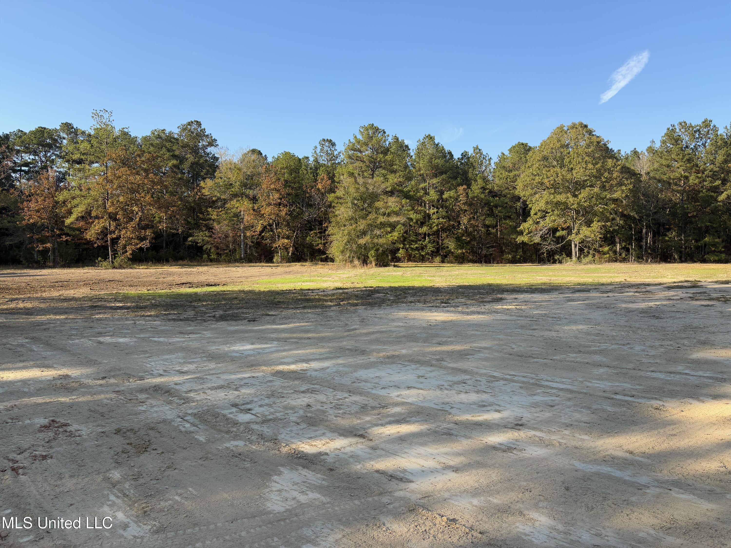 1016 L A Brister Road Summit, MS 39666 - Photo 20 of 21 IMG_1059