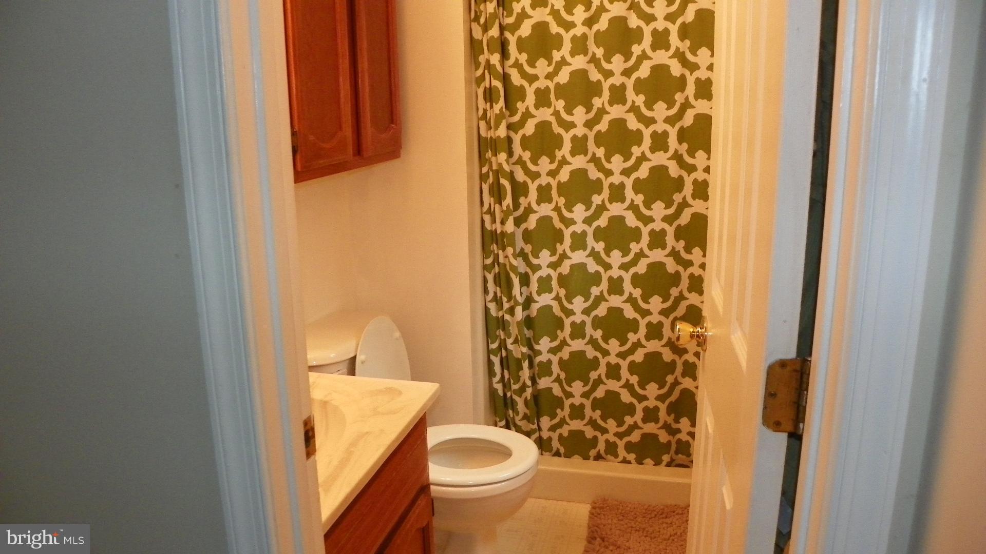 124 Seminole Road Chester Gap, VA 22623 - Photo 10 of 15 Bath (Master)