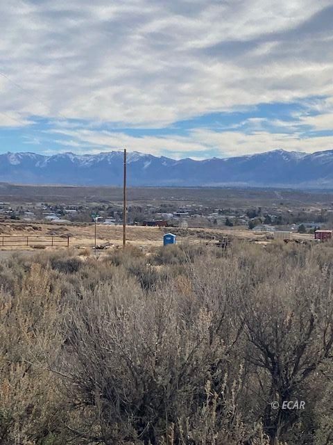 Wong Way Spring Creek Spring Creek, NV 89815 - Photo 5 of 8