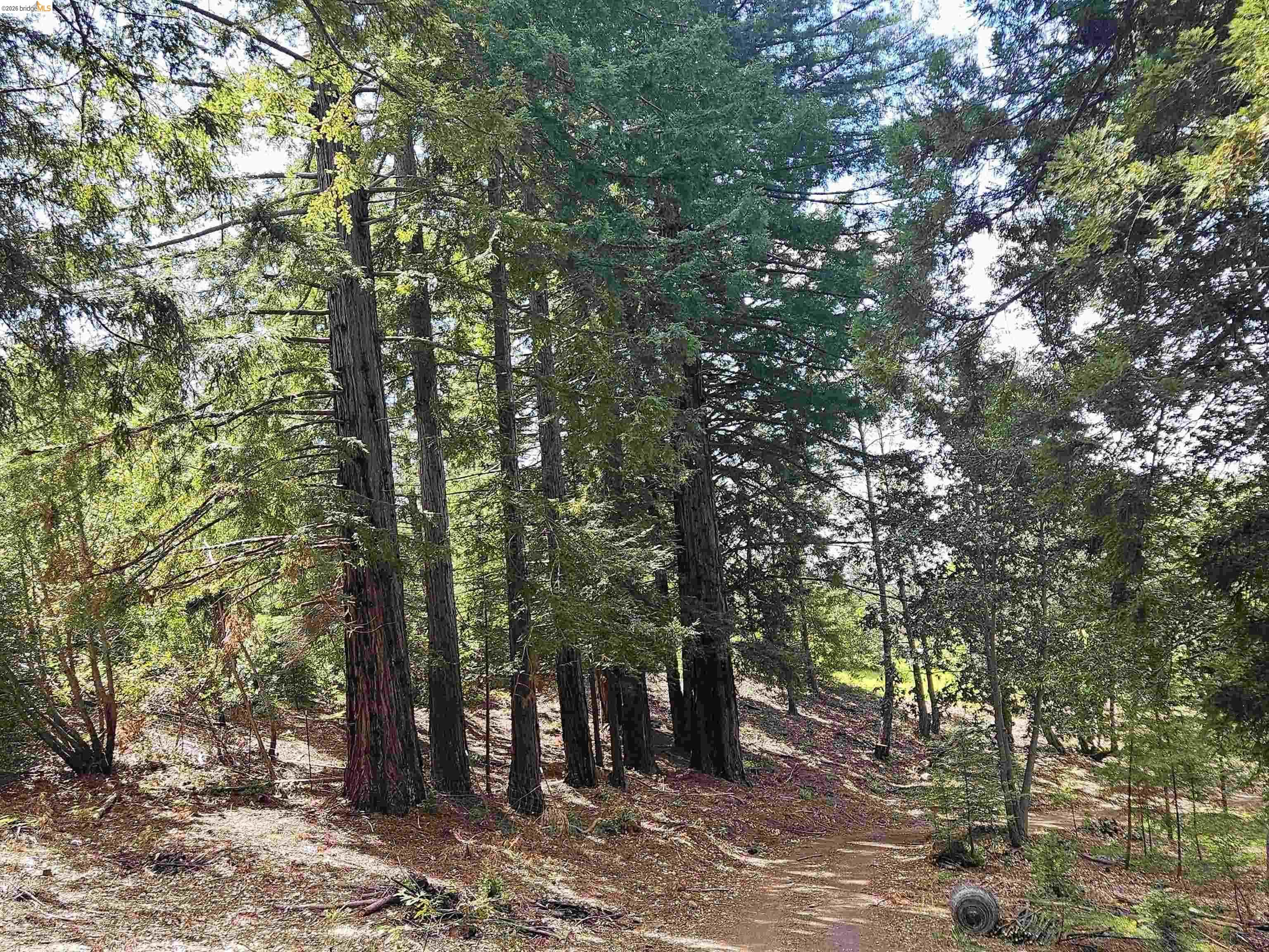 49100 Wickersham Road Geyserville, CA 95441 - Photo 45 of 76