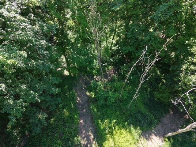 Parcel A West County Line Road Greenville, MI 48838 - Photo 13 of 14 232C105C-3924-4C10-A575-9BCFA1381976