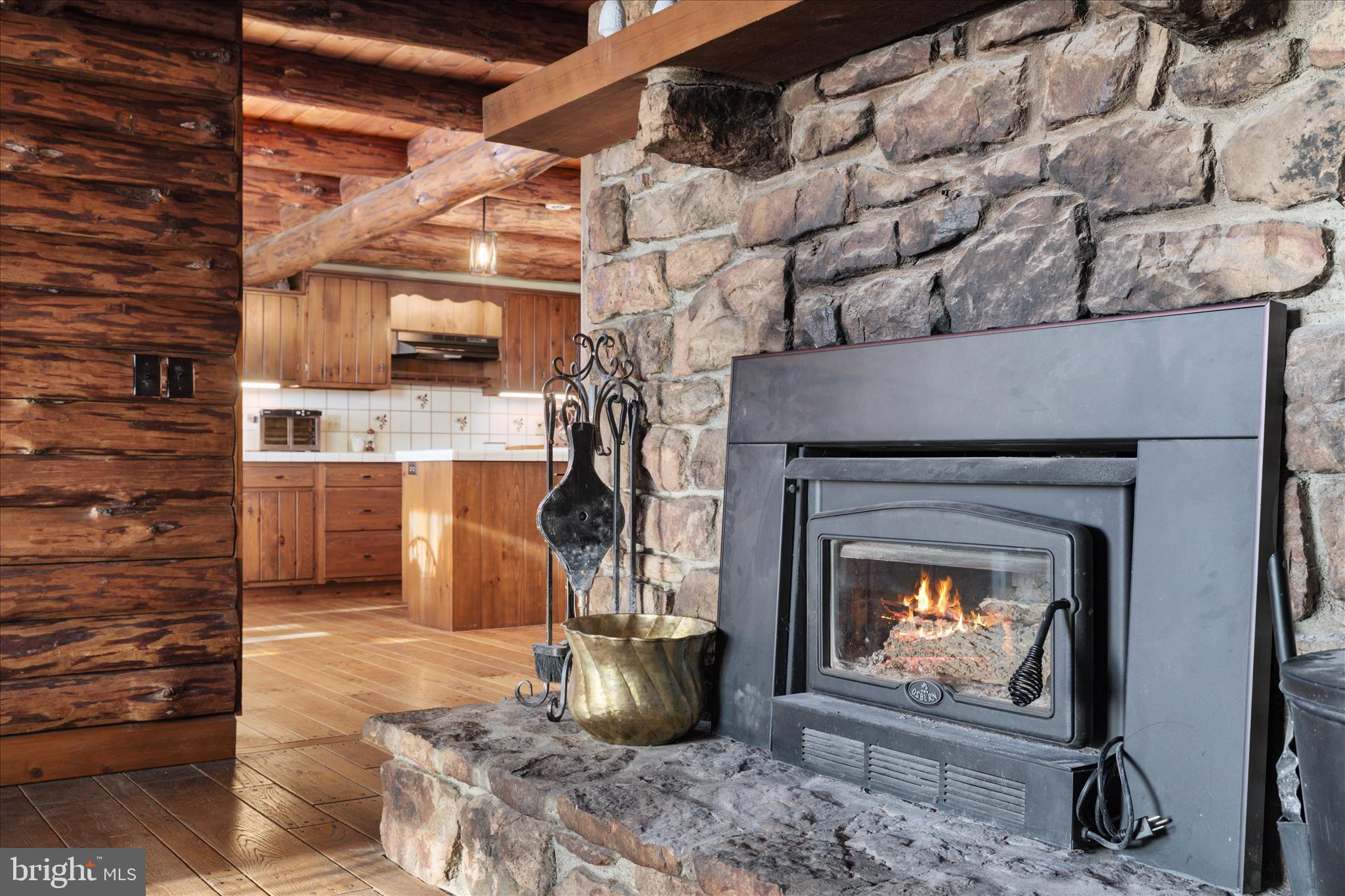 428 Apple Pie Ridge Road Winchester, VA 22603 - Photo 13 of 65 Family Room w/ wood stove insert