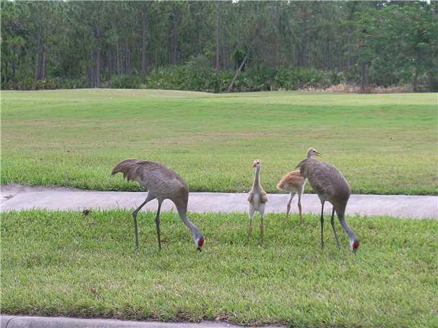 2927 Southeast Racoon Way Stuart, FL 34997 - Photo 22 of 22 a view of a lake with a yard and a bench