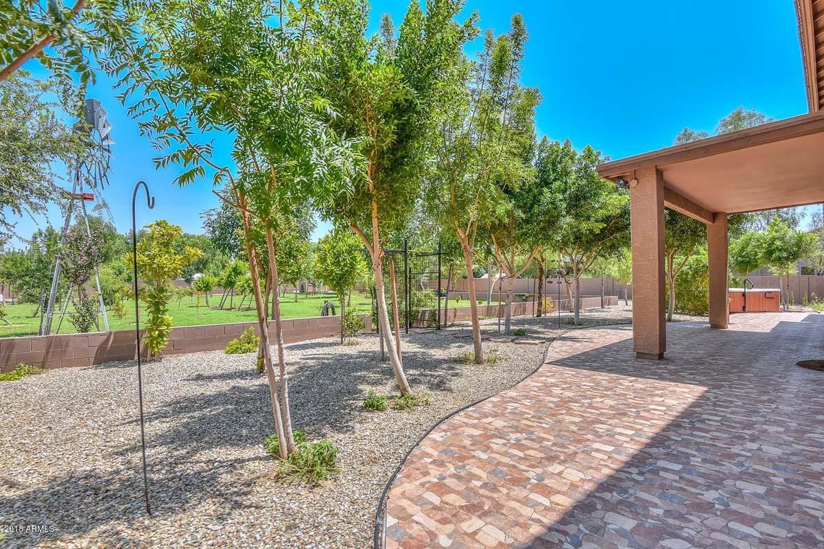 8409 North Citrus Road Waddell, AZ 85355 - Photo 15 of 74 Patio View (1)