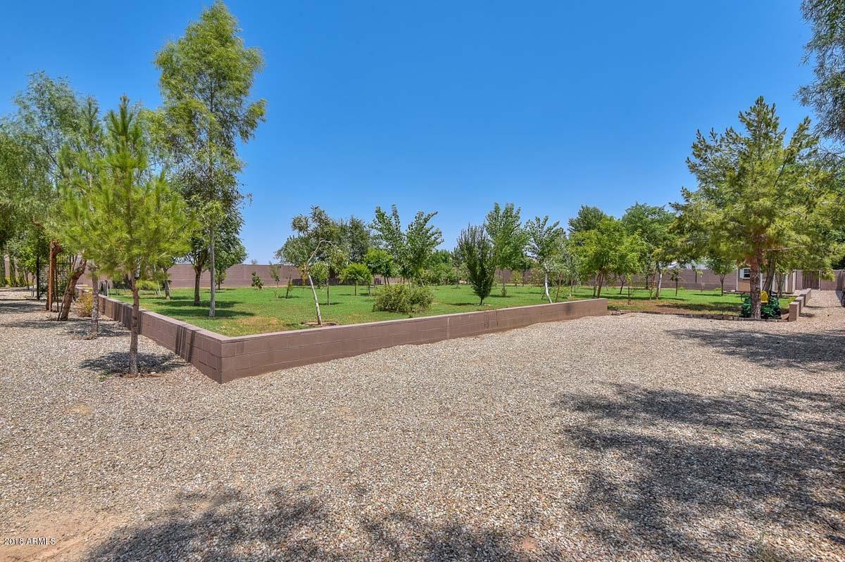 8409 North Citrus Road Waddell, AZ 85355 - Photo 22 of 74 Backyard2 (1)