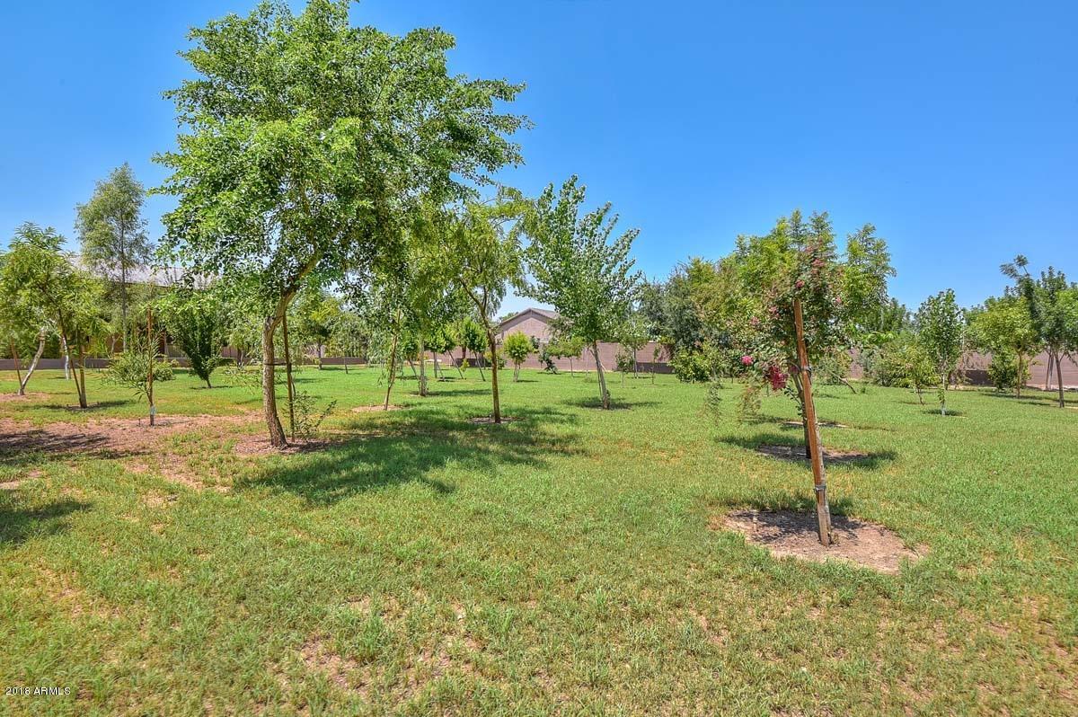 8409 North Citrus Road Waddell, AZ 85355 - Photo 23 of 74 Backyard3 (1)