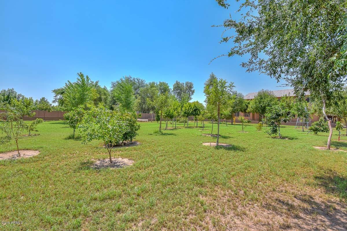 8409 North Citrus Road Waddell, AZ 85355 - Photo 24 of 74 Backyard4 (