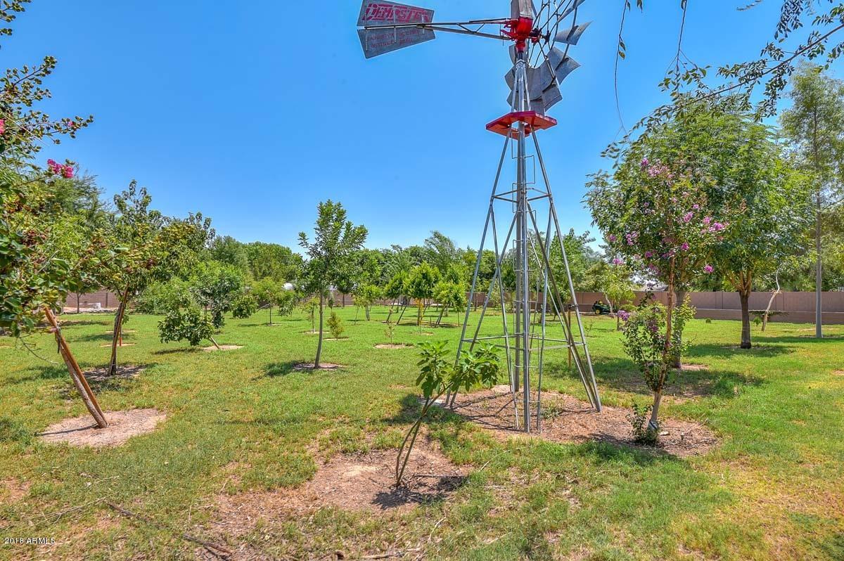 8409 North Citrus Road Waddell, AZ 85355 - Photo 25 of 74 Backyard5 (1)