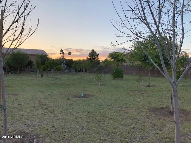 8409 North Citrus Road Waddell, AZ 85355 - Photo 28 of 74 Backyard Picture