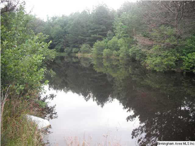 Sardis Road, Unit 1 Lineville, AL 36266 - Photo 17 of 22