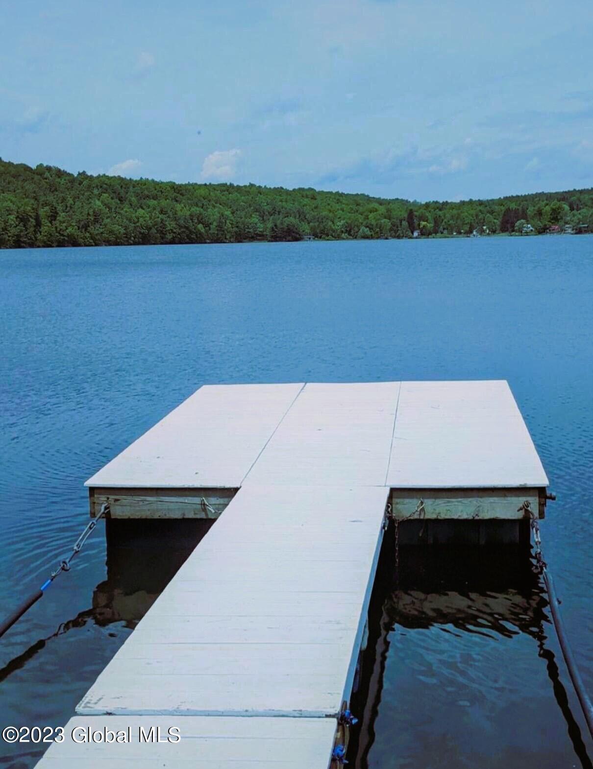 14 Pine Knoll Road Berne, NY 12059 - Photo 3 of 47 IMG_5461-0