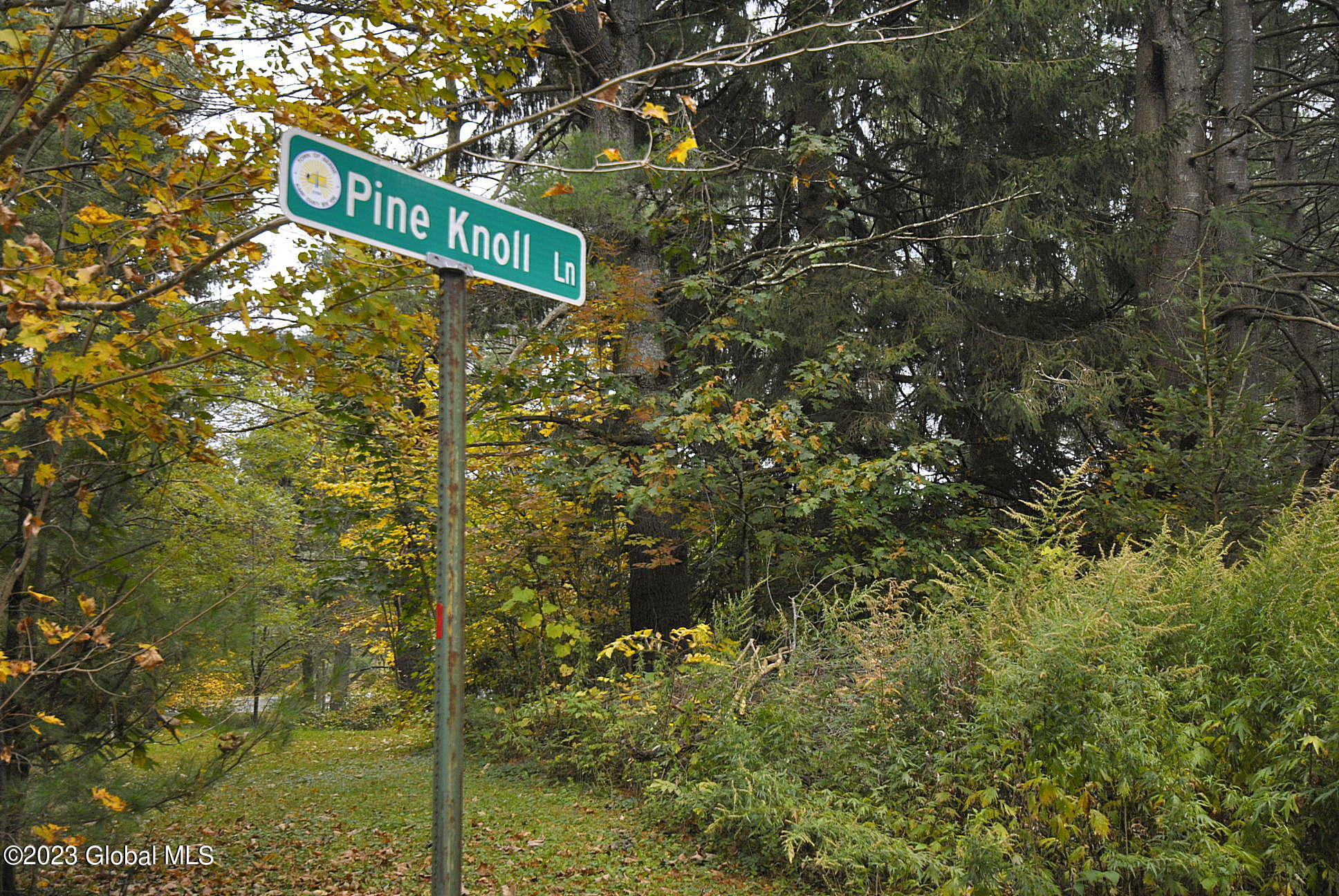 14 Pine Knoll Road Berne, NY 12059 - Photo 46 of 47 _DSC0259