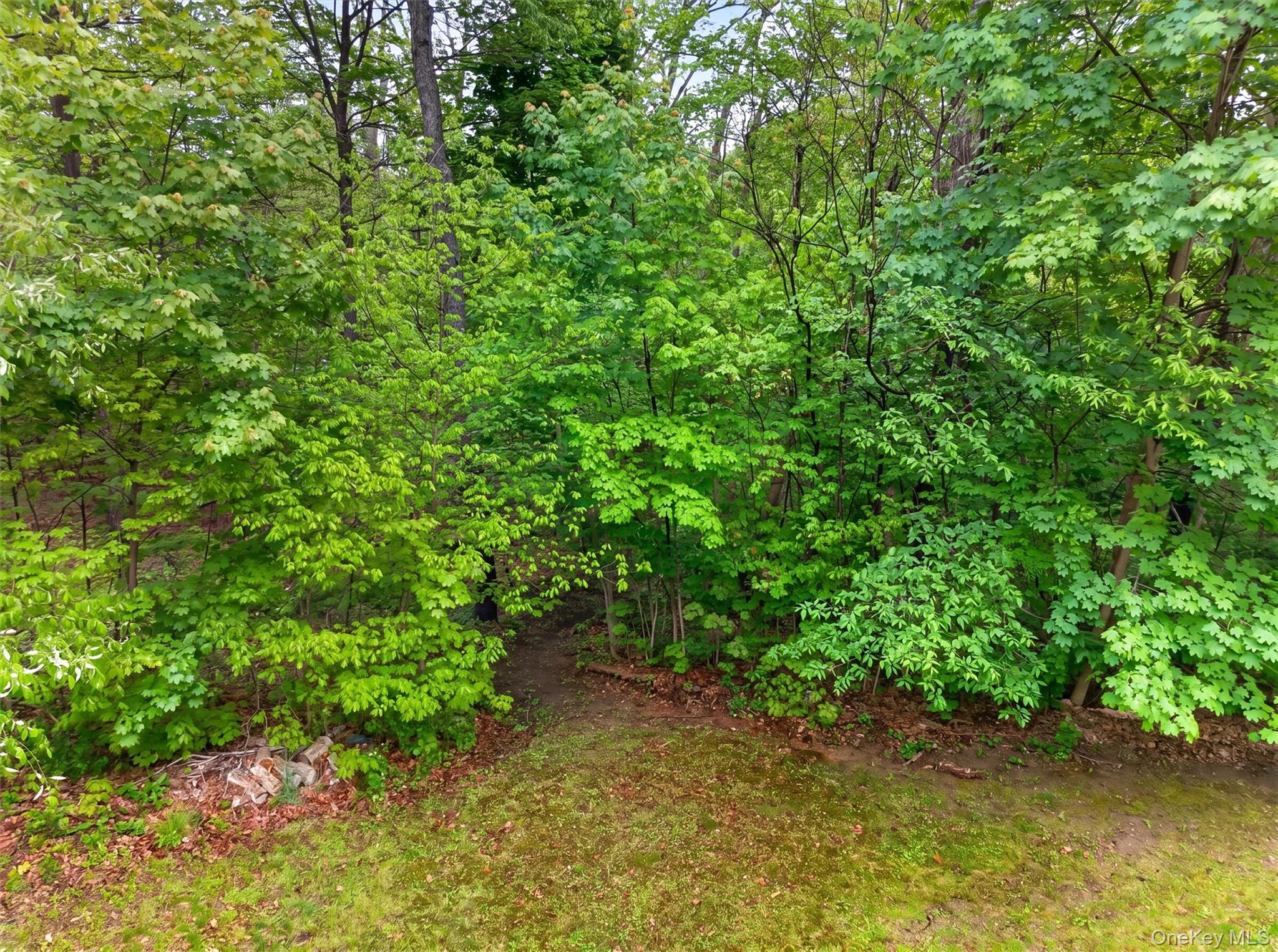 63 Hubshop Road Chester, NY 10918 - Photo 37 of 45