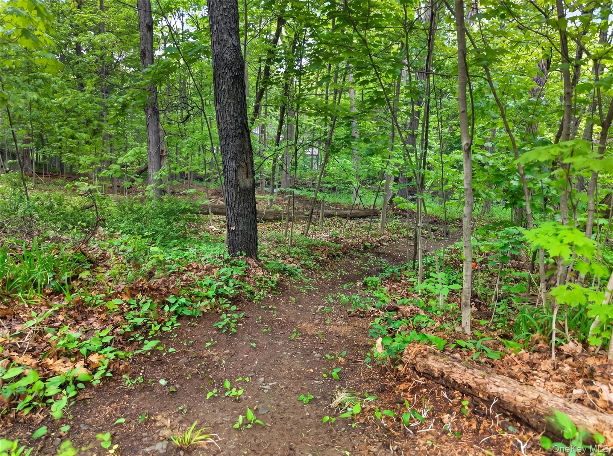63 Hubshop Road Chester, NY 10918 - Photo 38 of 45