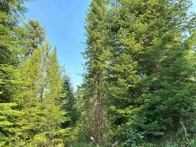 $1,200,000 | 7398 Cottonwood Road, Ford, WA 99013