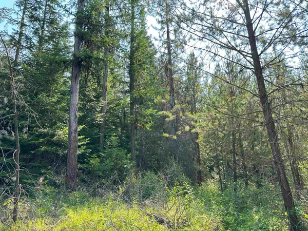 $1,200,000 | 7398 Cottonwood Road, Ford, WA 99013