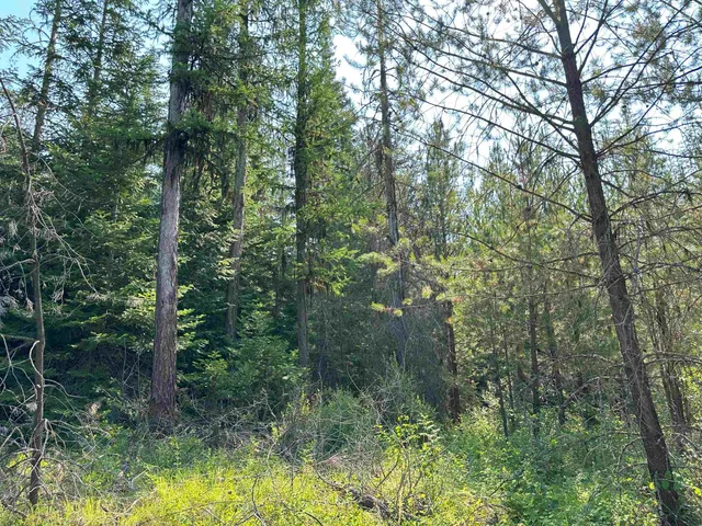 $1,200,000 | 7398 Cottonwood Road, Ford, WA 99013