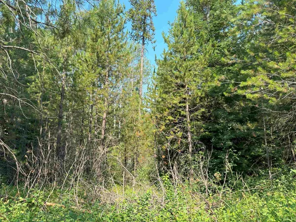 $1,200,000 | 7398 Cottonwood Road, Ford, WA 99013