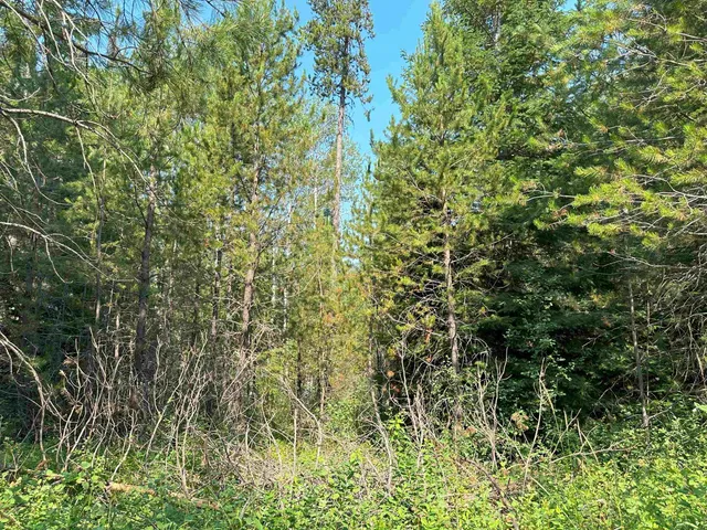 $1,200,000 | 7398 Cottonwood Road, Ford, WA 99013