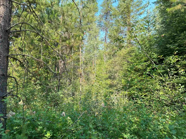 $1,200,000 | 7398 Cottonwood Road, Ford, WA 99013